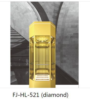 6 opinión libre del elevador 1000KG 1.75m/s 360 de los pisos de las personas 13