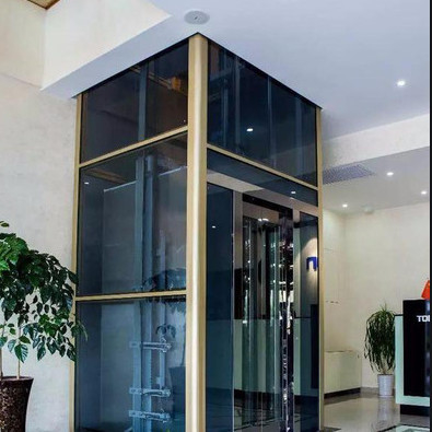 el pasajero residencial 1.5m/s levanta la cabina de acero inoxidable del elevador 400KG