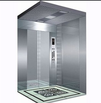 Elevador moderno del pasajero de 1.0m/s 220V para los negocios de B2B