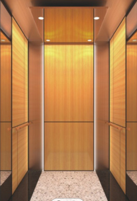 10 cabina de acero inoxidable de la elevación del elevador CNAS del pasajero de las personas