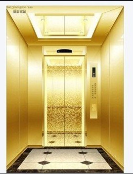Sitio de la máquina del MRL menos persona hidráulica de la elevación 800KG 10 del elevador