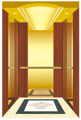 304 elevadores residenciales de acero inoxidables para la impulsión 2.5m/s de los hogares VVVF