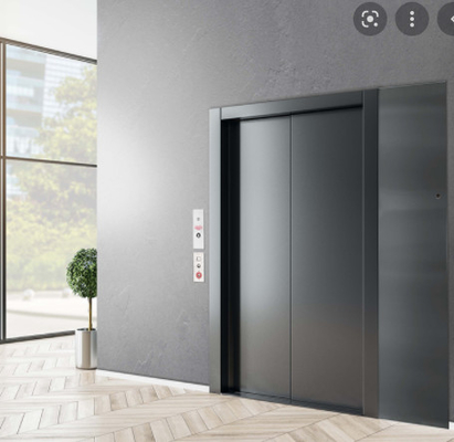 6 cabina de acero inoxidable residencial del elevador de los elevadores 630KG de las personas