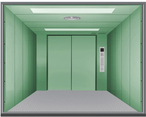 Material de acero inoxidable de los pisos 2-8 del cargo del voltaje resistente del elevador 220V