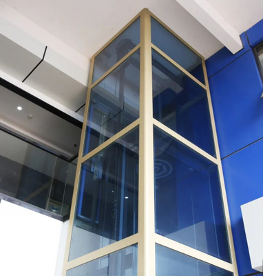 Elevador panorámico de la puerta de cristal sin las personas del hoyo 250kg 3