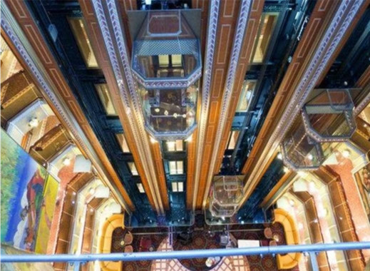 Elevador panorámico 800KG de 10 personas alrededor del elevador de cristal residencial