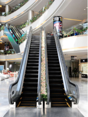 La escalera móvil del paseo móvil del centro comercial 35 grados moderó Fuji de cristal