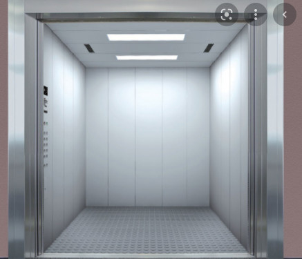 Elevador de carga de Warehouse de la impulsión del sistema de pesos americano con el sitio 3000KG de la máquina