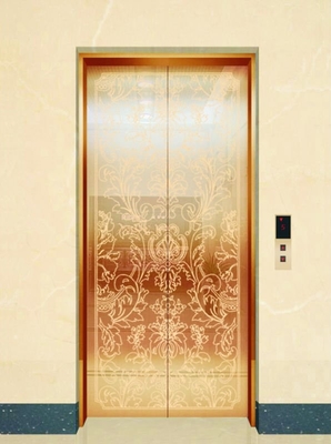 Elevación sin engranaje del hogar del elevador VVVF Inveter 220V MRL del MRL de la tracción del P.M.